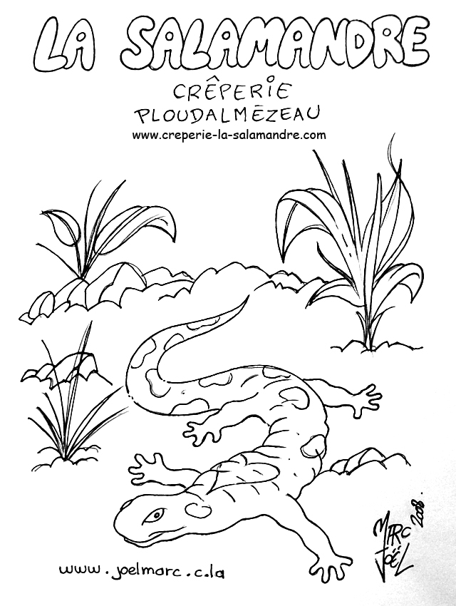 Coloring page: Salamander (Animals) #19893 - Free Printable Coloring Pages
