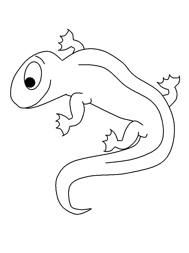 Coloring page: Salamander (Animals) #19906 - Free Printable Coloring Pages