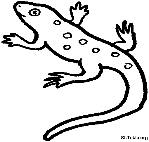 Coloring page: Salamander (Animals) #19911 - Free Printable Coloring Pages
