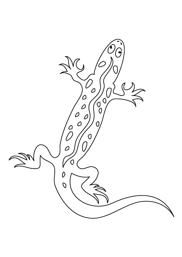 Coloring page: Salamander (Animals) #19946 - Free Printable Coloring Pages