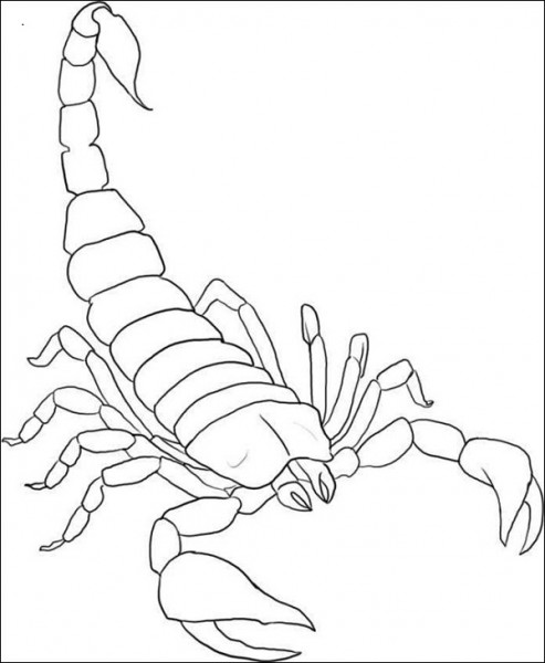 Coloring page: Scorpio (Animals) #14539 - Free Printable Coloring Pages