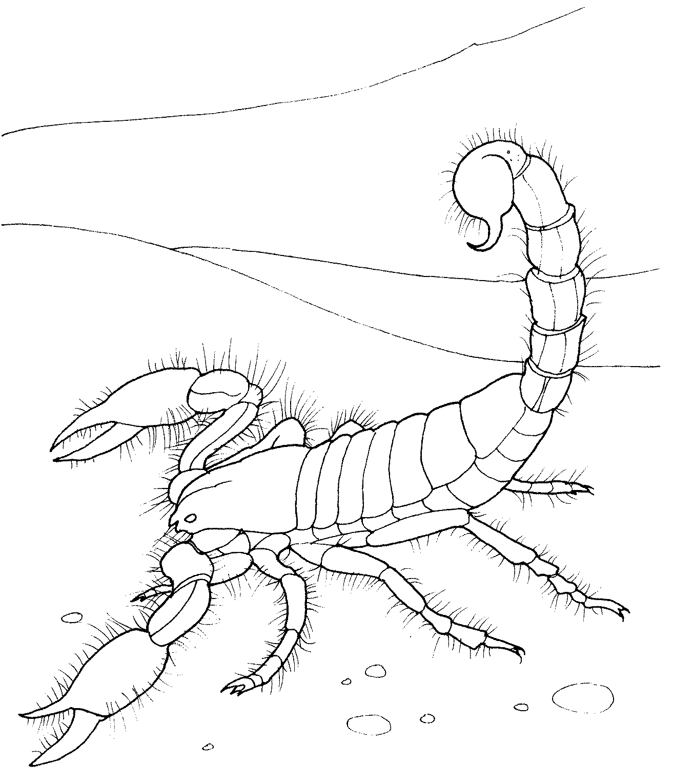 Coloring page: Scorpio (Animals) #14553 - Free Printable Coloring Pages