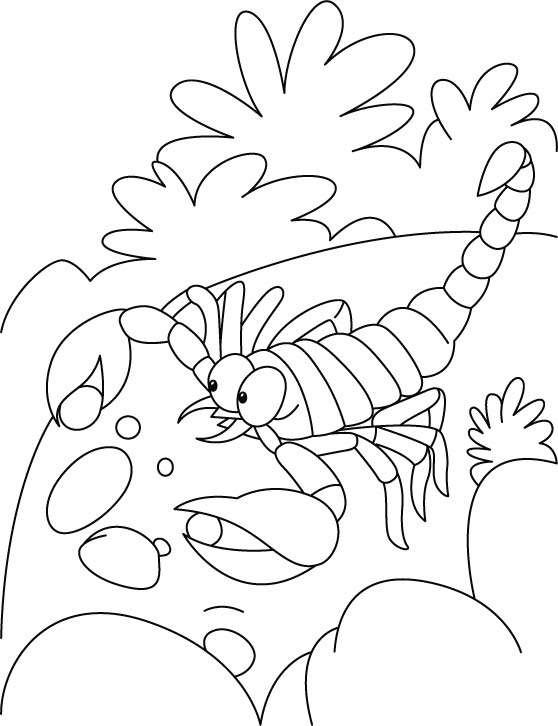 Coloring page: Scorpio (Animals) #14593 - Free Printable Coloring Pages