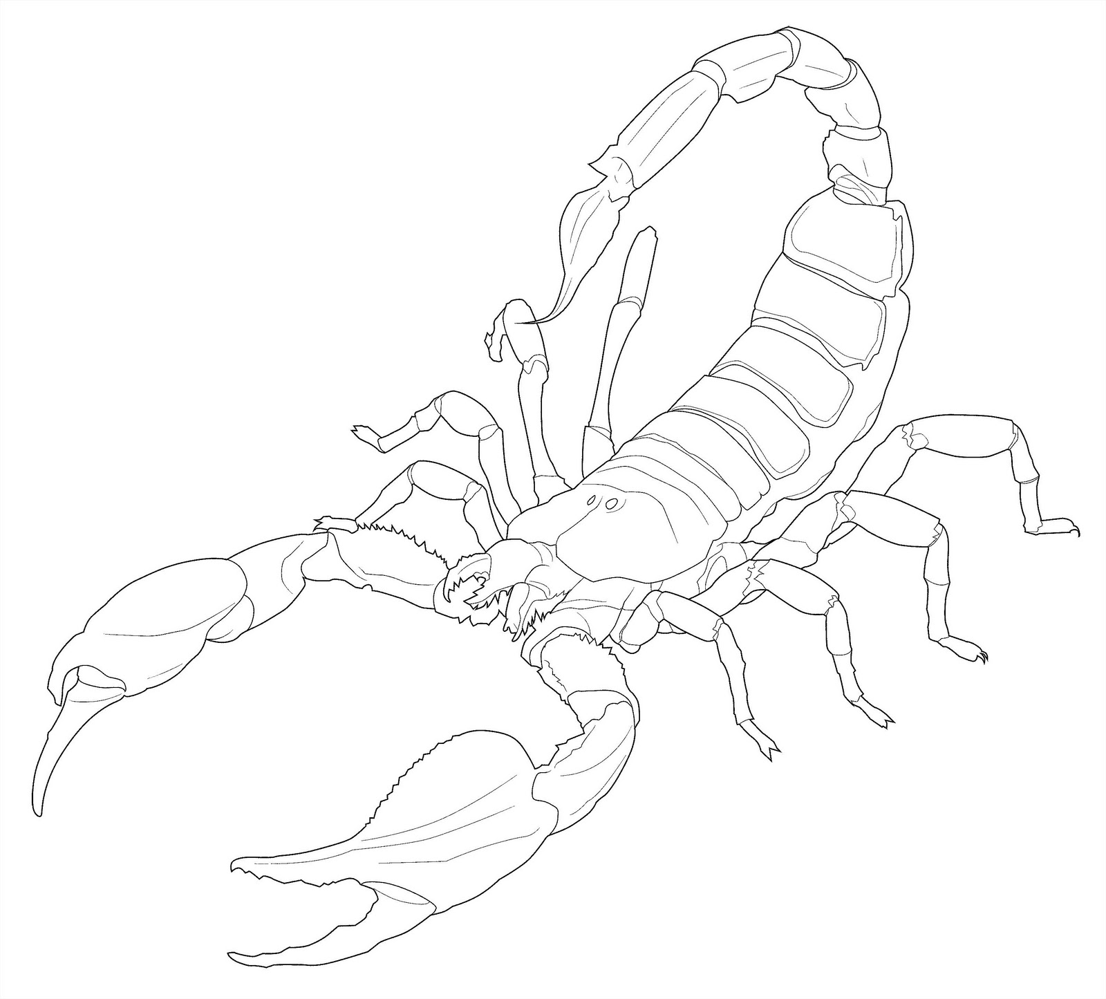 Coloring page: Scorpio (Animals) #14624 - Free Printable Coloring Pages