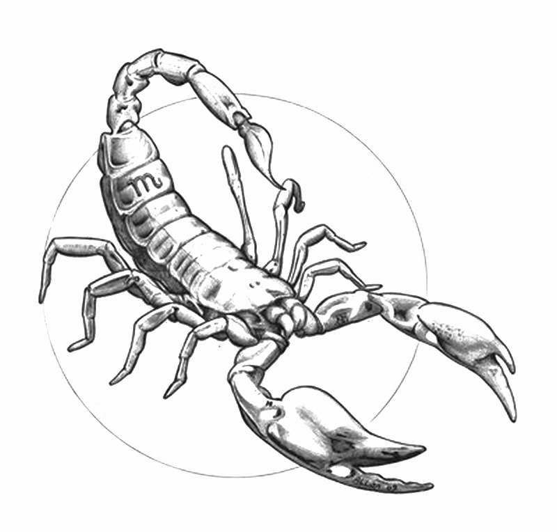 Coloring page: Scorpio (Animals) #14633 - Free Printable Coloring Pages