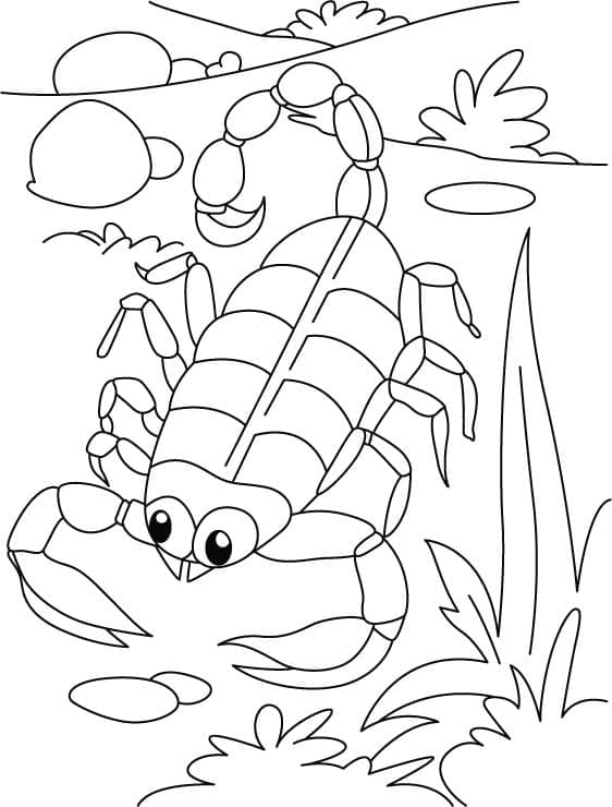 Free printable Scorpio coloring page #209573 from Animals collection