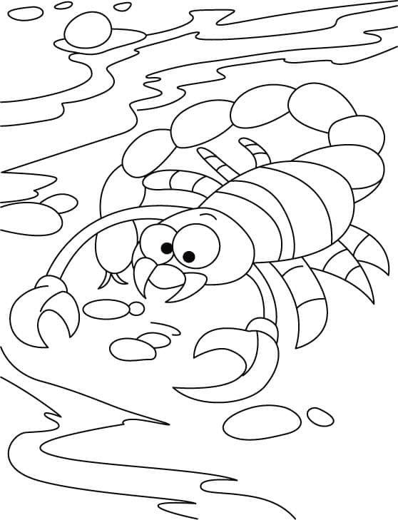 Free printable Scorpio coloring page #209580 from Animals collection