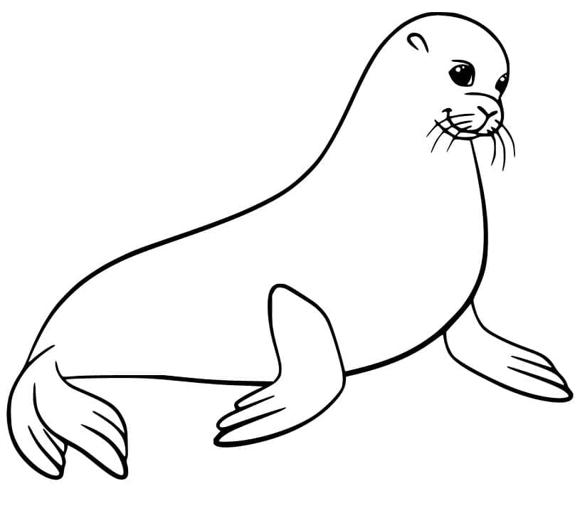 Coloring page: Sea Lion (Animals) #192521 - Free Printable Coloring Pages
