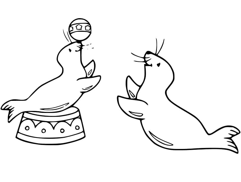 Free printable Sea Lion coloring page #192526 from Animals collection Free printable Sea Lion coloring page #192526 from Animals collection
