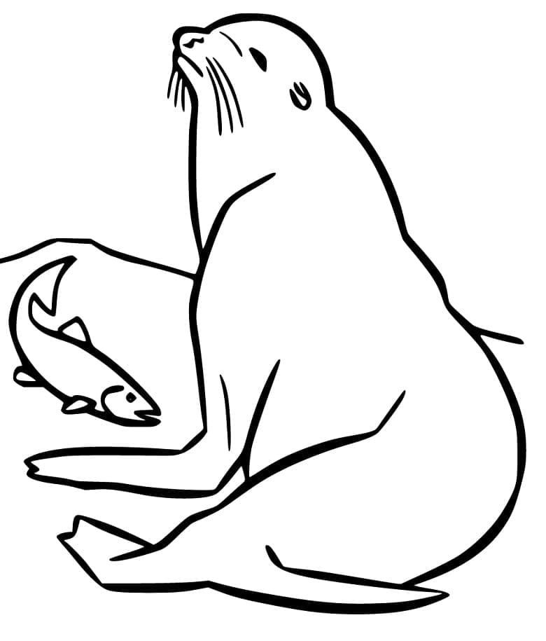 Free printable Sea Lion coloring page #192528 from Animals collection Free printable Sea Lion coloring page #192528 from Animals collection