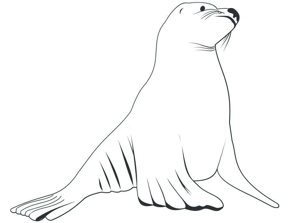 Free printable Sea Lion coloring page #192541 from Animals collection