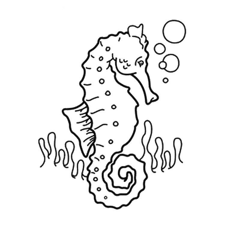 Coloring page: Seahorse (Animals) #18587 - Free Printable Coloring Pages