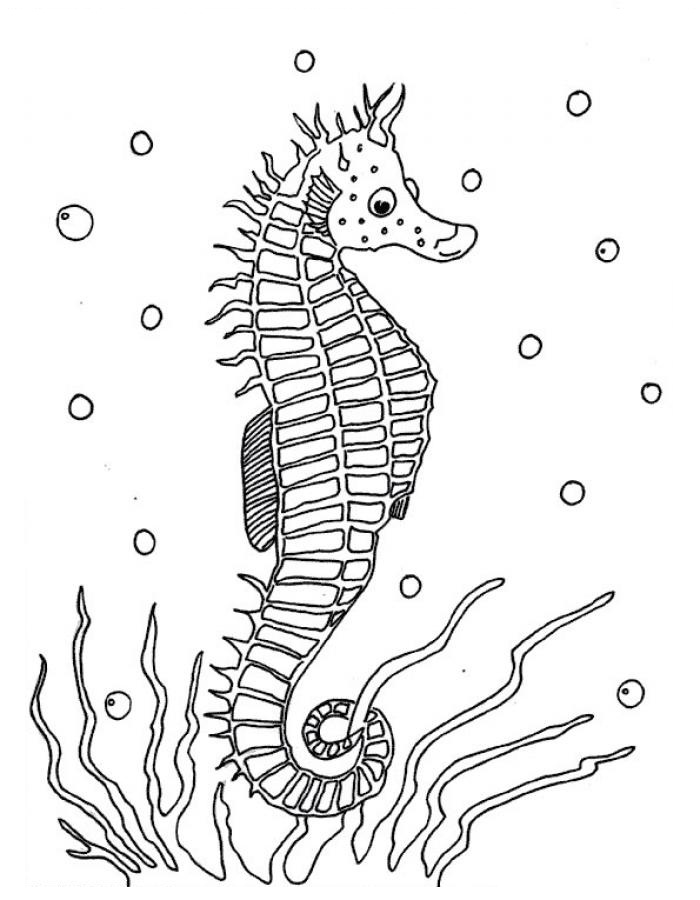 Coloring page: Seahorse (Animals) #18600 - Free Printable Coloring Pages