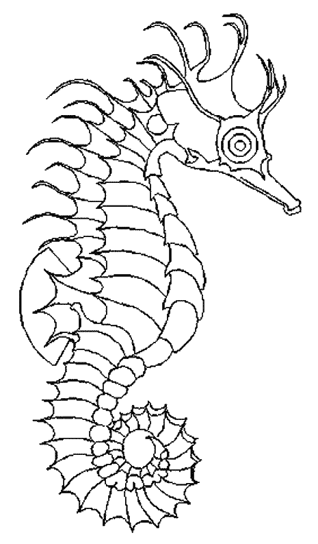 Coloring page: Seahorse (Animals) #18601 - Free Printable Coloring Pages