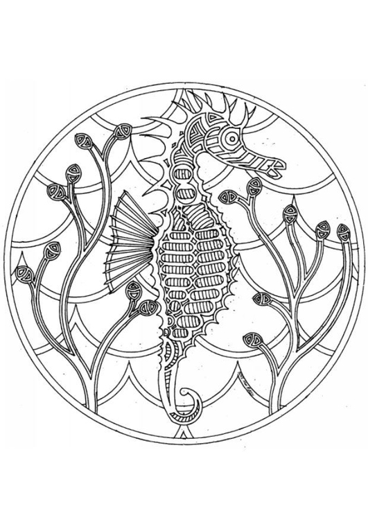 Coloring page: Seahorse (Animals) #18618 - Free Printable Coloring Pages