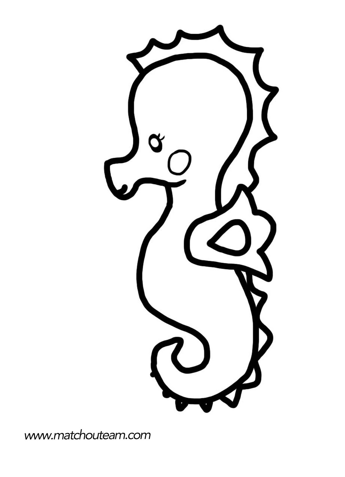 Coloring page: Seahorse (Animals) #18628 - Free Printable Coloring Pages