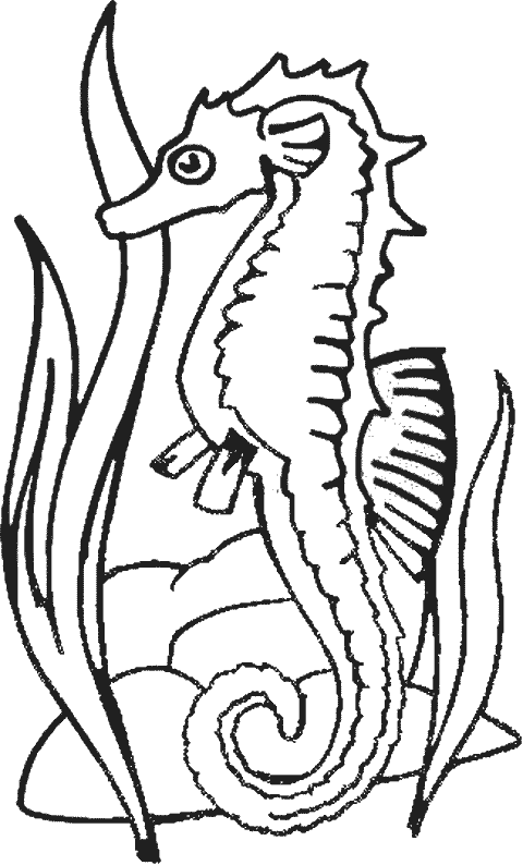 Coloring page: Seahorse (Animals) #18632 - Free Printable Coloring Pages
