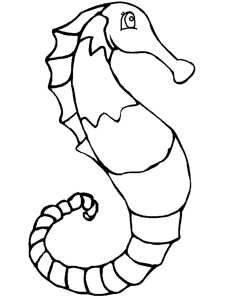 Coloring page: Seahorse (Animals) #18653 - Free Printable Coloring Pages