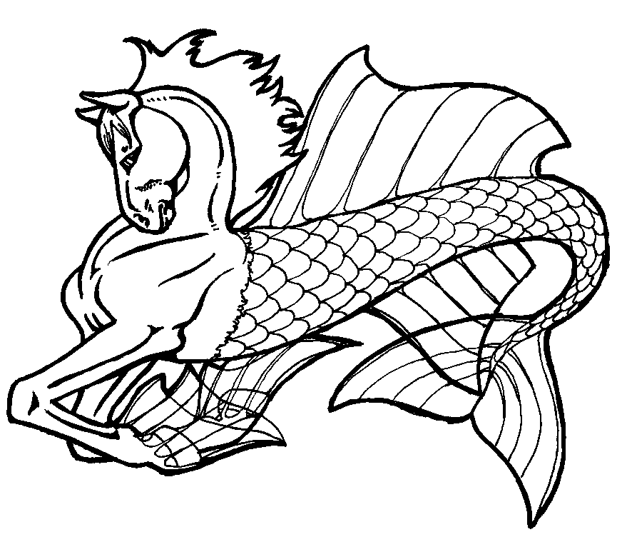 Coloring page: Seahorse (Animals) #18674 - Free Printable Coloring Pages
