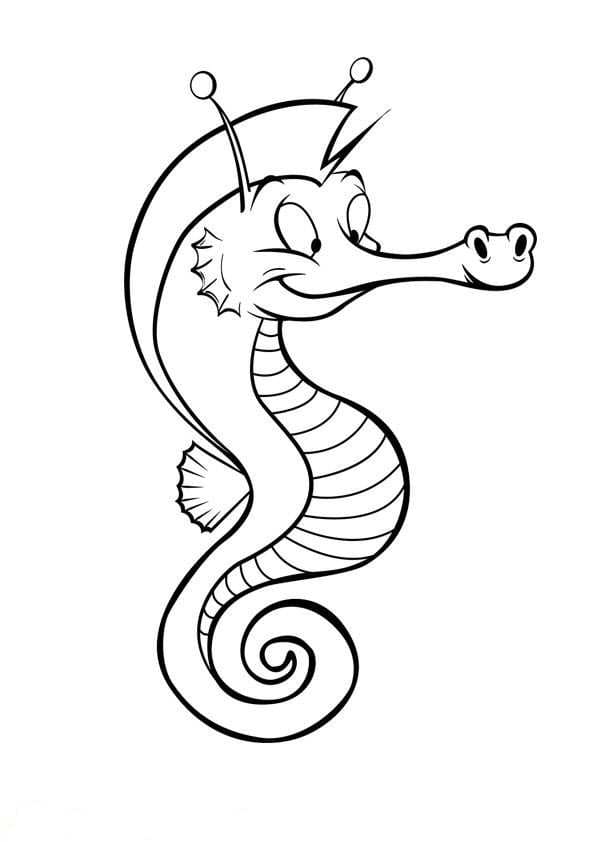 Free printable Seahorse coloring page #187413 from Animals collection Free printable Seahorse coloring page #187413 from Animals collection