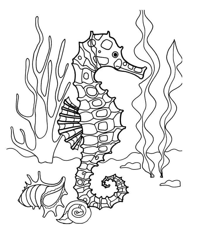 Free printable Seahorse coloring page #187423 from Animals collection Free printable Seahorse coloring page #187423 from Animals collection