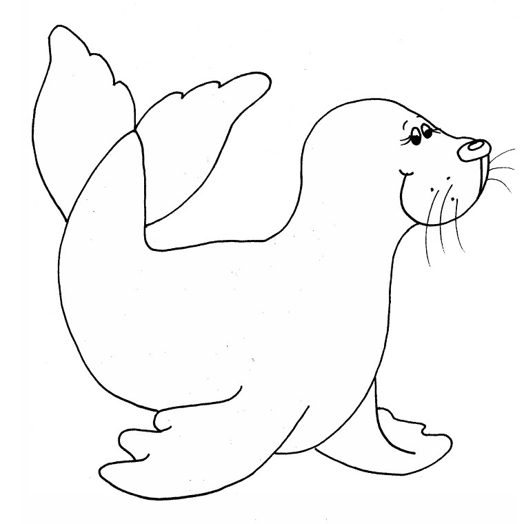 Coloring page: Seal (Animals) #16263 - Free Printable Coloring Pages