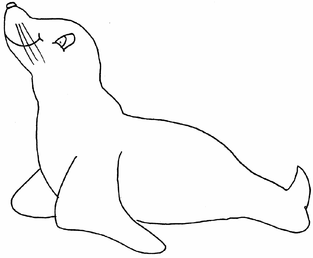 Coloring page: Seal (Animals) #16265 - Free Printable Coloring Pages