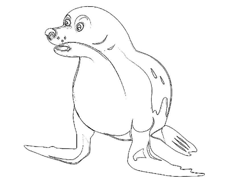 Coloring page: Seal (Animals) #16266 - Free Printable Coloring Pages