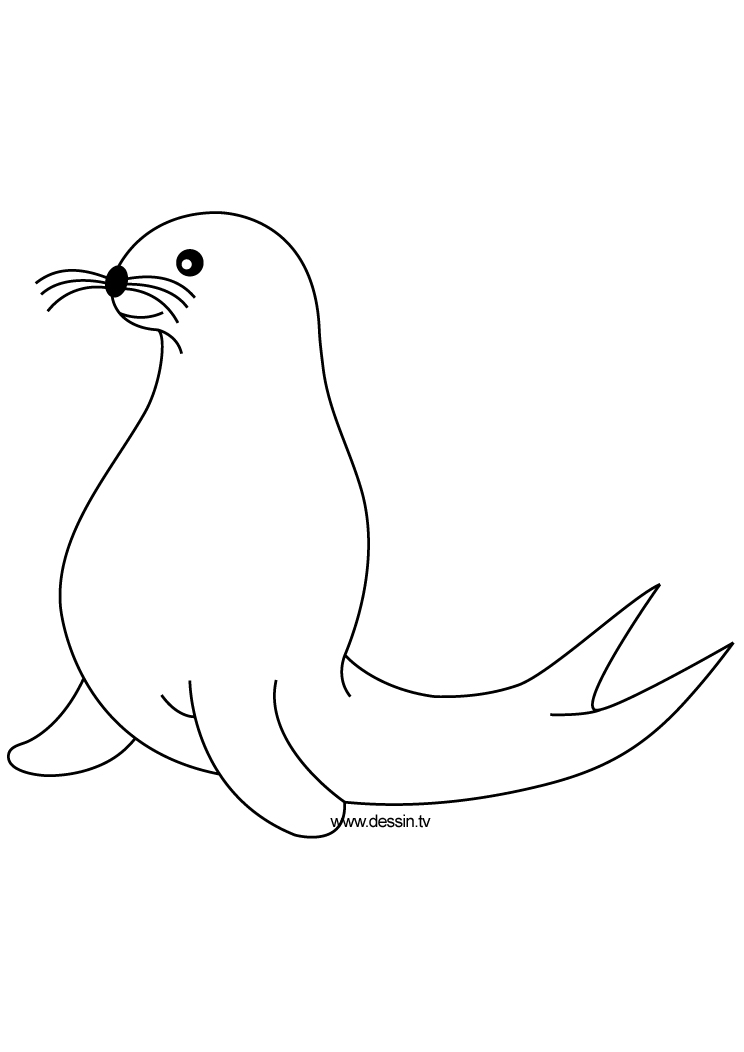 Coloring page: Seal (Animals) #16267 - Free Printable Coloring Pages