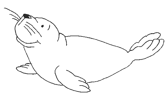 Coloring page: Seal (Animals) #16269 - Free Printable Coloring Pages