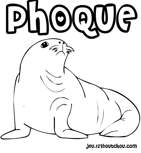 Coloring page: Seal (Animals) #16272 - Free Printable Coloring Pages