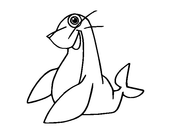 Coloring page: Seal (Animals) #16288 - Free Printable Coloring Pages