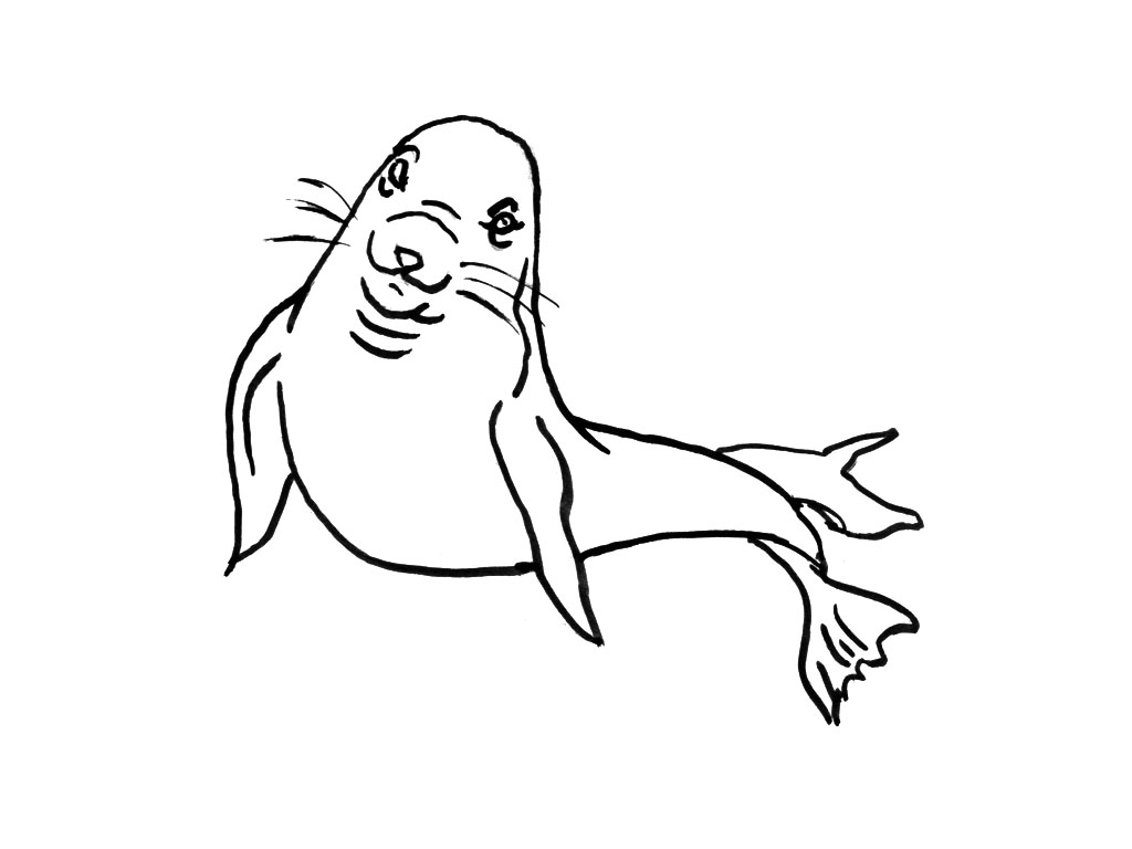 Coloring page: Seal (Animals) #16333 - Free Printable Coloring Pages