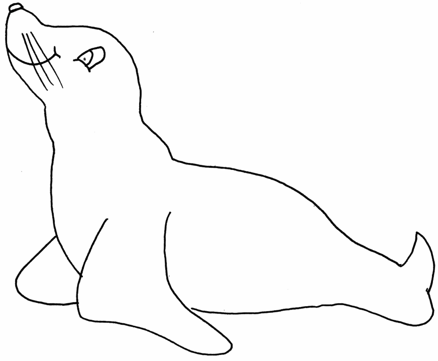 Coloring page: Seal (Animals) #16336 - Free Printable Coloring Pages