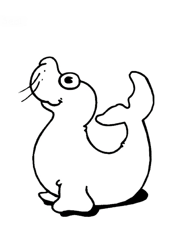Coloring page: Seal (Animals) #16345 - Free Printable Coloring Pages