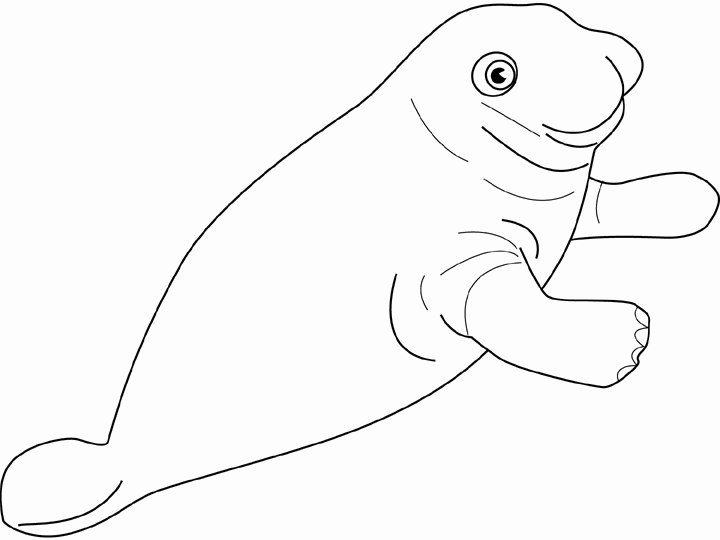 Coloring page: Seal (Animals) #16366 - Free Printable Coloring Pages