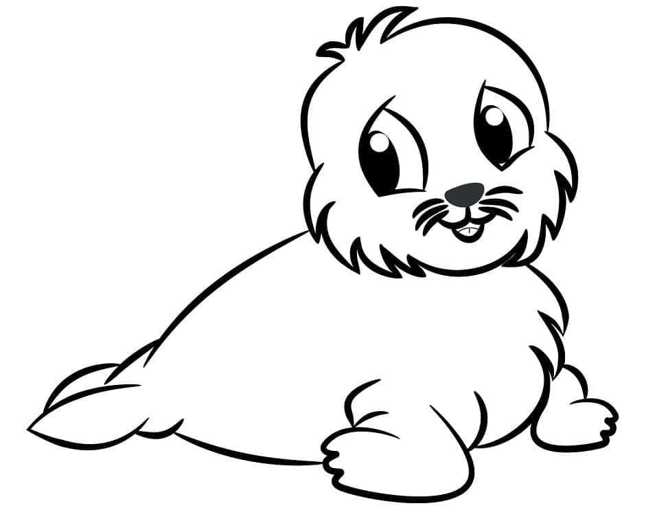 Free printable Seal coloring page #188091 from Animals collection