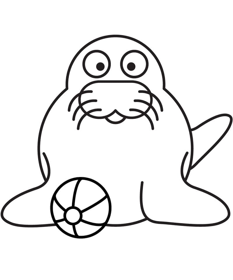 Free printable Seal coloring page #188095 from Animals collection