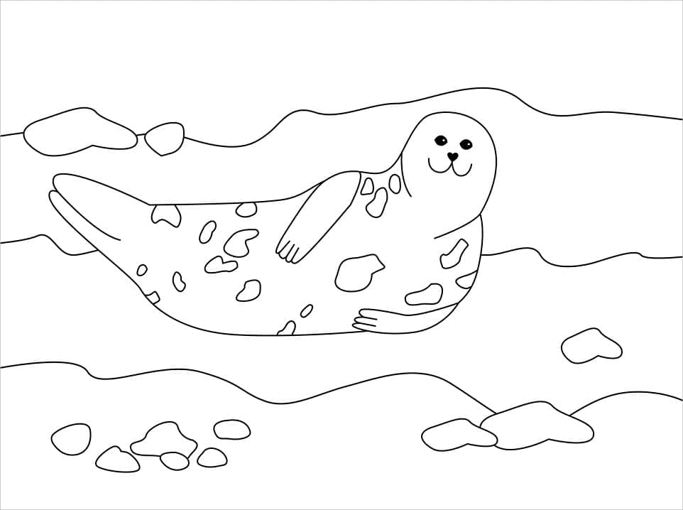 Free printable Seal coloring page #188107 from Animals collection
