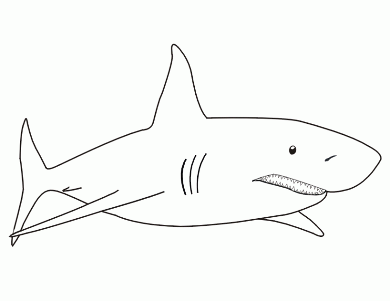 Coloring page: Shark (Animals) #14766 - Free Printable Coloring Pages
