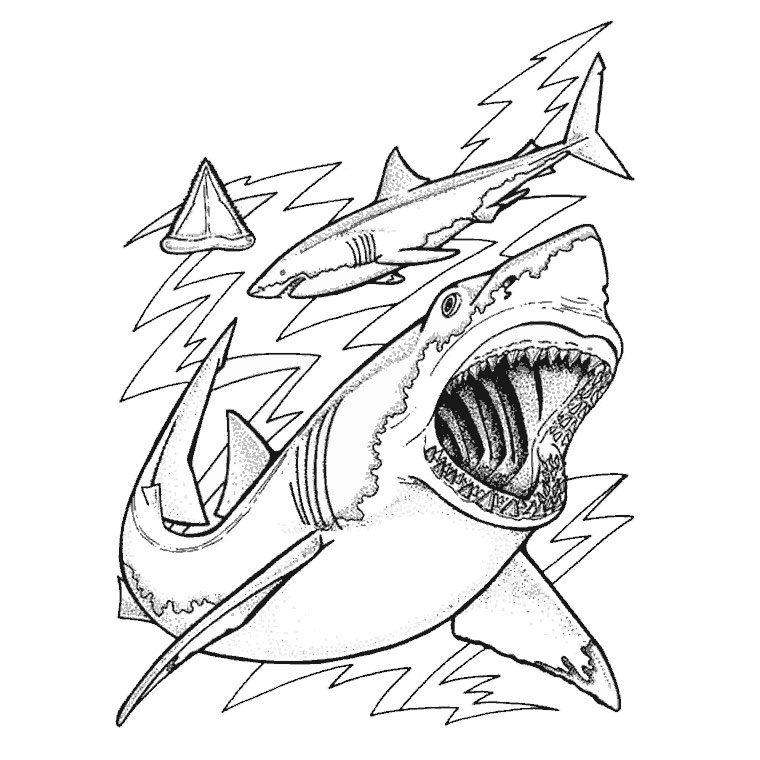 Coloring page: Shark (Animals) #14769 - Free Printable Coloring Pages