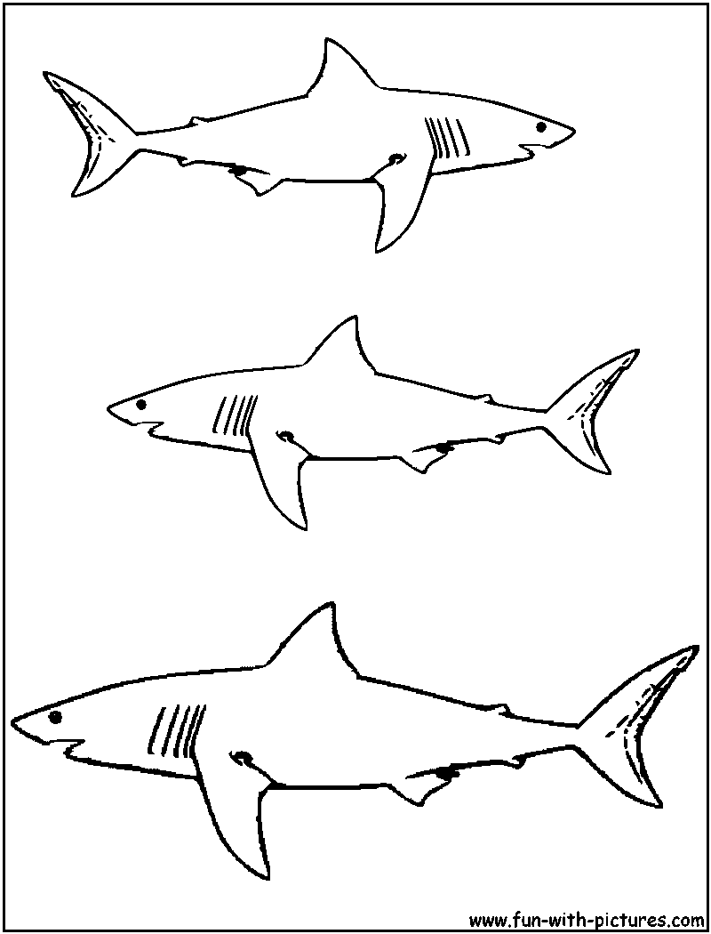 Coloring page: Shark (Animals) #14776 - Free Printable Coloring Pages
