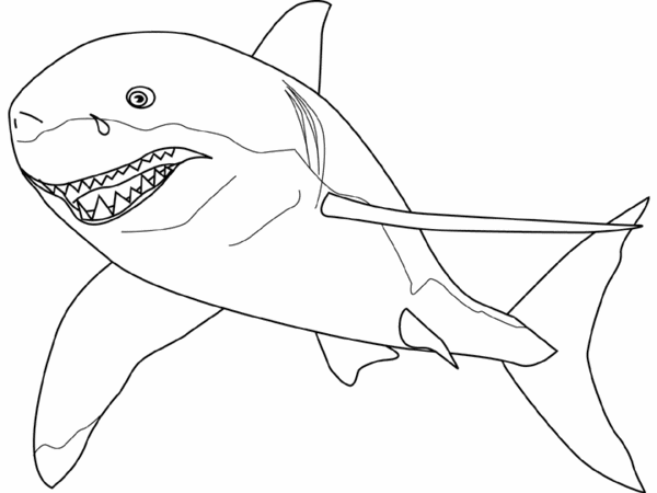 Coloring page: Shark (Animals) #14780 - Free Printable Coloring Pages