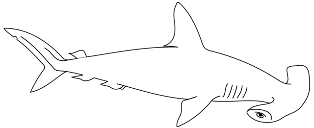 Coloring page: Shark (Animals) #14787 - Free Printable Coloring Pages