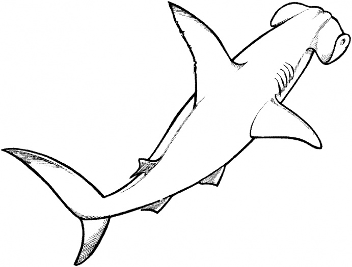 Coloring page: Shark (Animals) #14798 - Free Printable Coloring Pages
