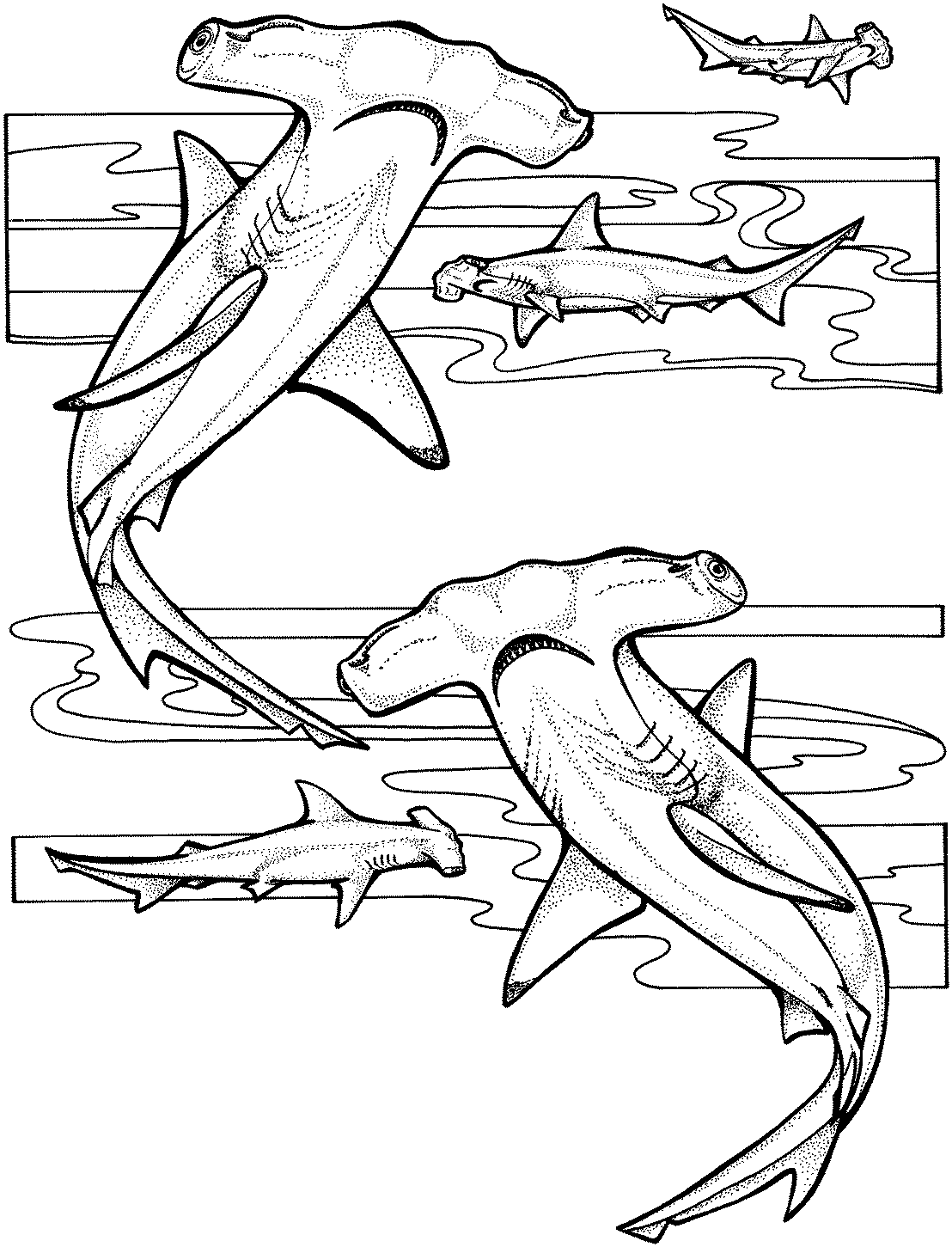 Coloring page: Shark (Animals) #14805 - Free Printable Coloring Pages