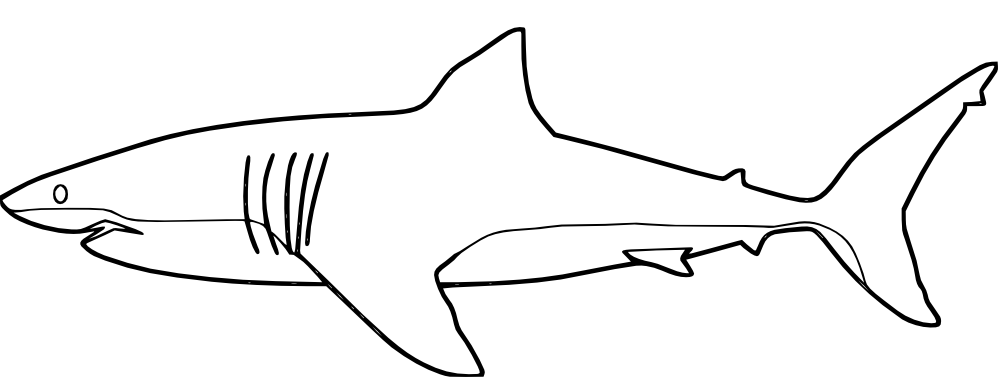 Coloring page: Shark (Animals) #14809 - Free Printable Coloring Pages