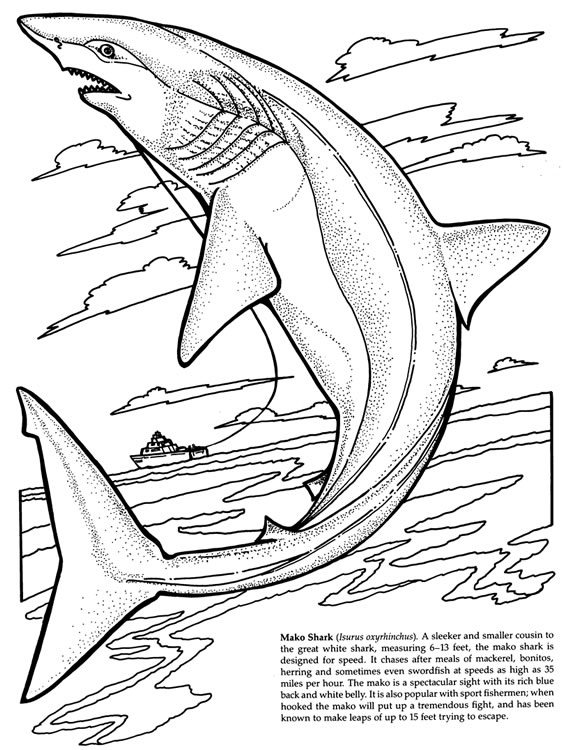 Coloring page: Shark (Animals) #14839 - Free Printable Coloring Pages