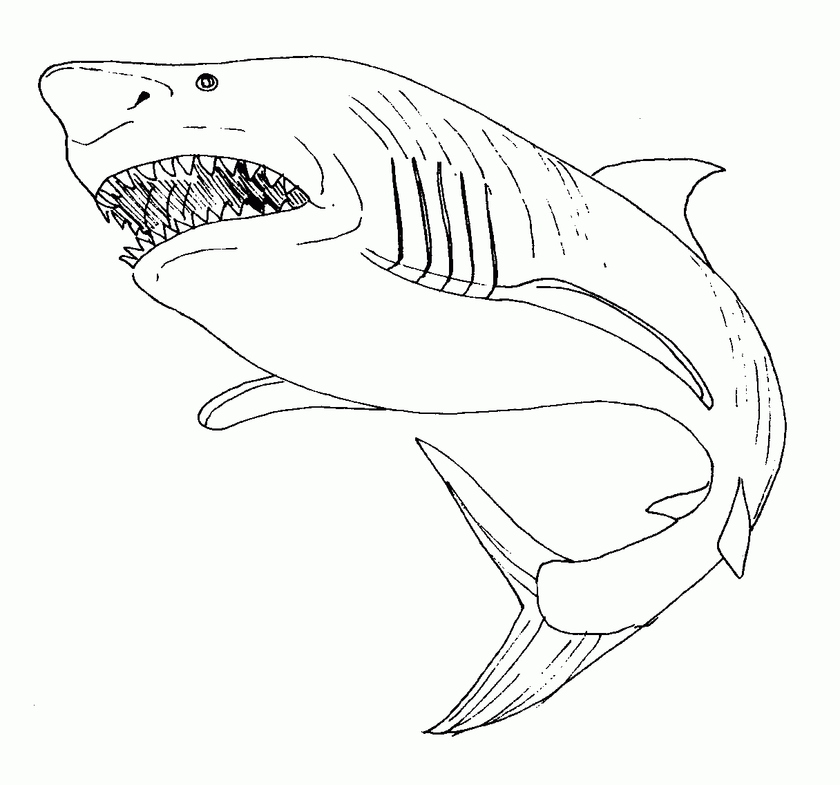 Coloring page Shark #14843 (Animals) – Printable Coloring Pages