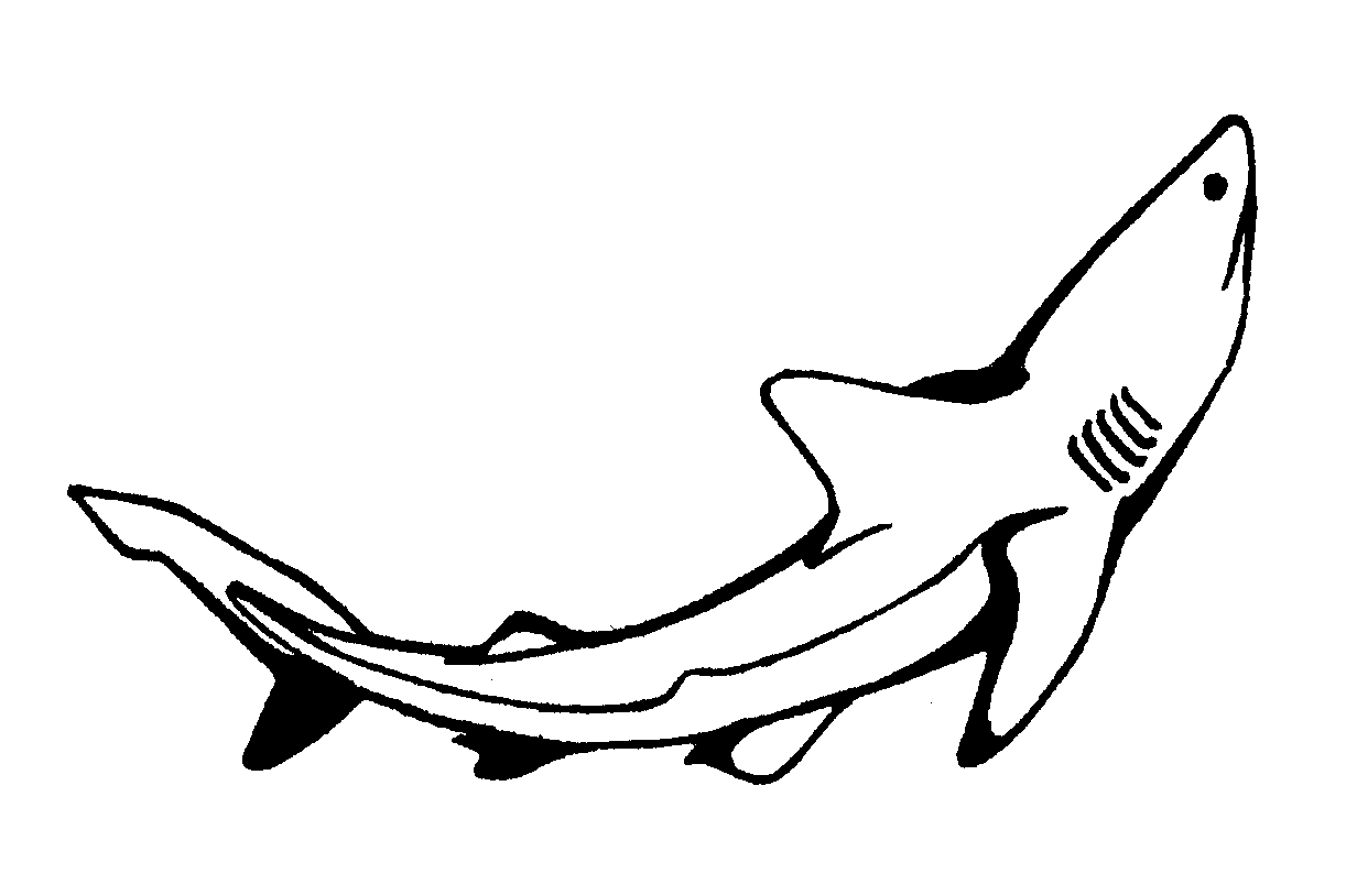 Drawing Shark #14849 (Animals) – Printable coloring pages
